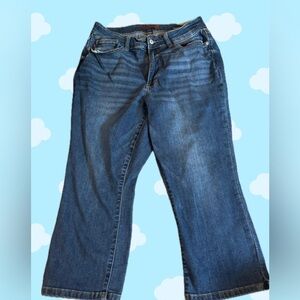 Judy Blu capri pants